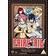 Fairy Tail: Collection Two (Episodes 25-48) [DVD]